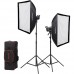 Godox SL60IID 2-Light Kit